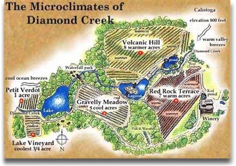 Discover diamond creek, a winery in calistoga, united states and explore their most popular wines. Vertical Tasting of Diamond Creek Cabernet Sauvignon: 1973 ...