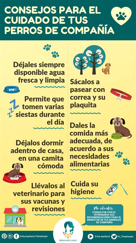 El Cuidado De Los Animales