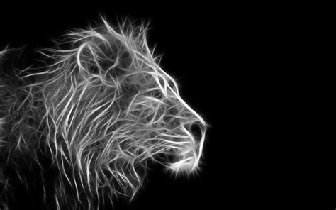 Cool Lion Wallpapers Hd Background Images Photos Pictures Yl