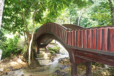 About press copyright contact us creators advertise developers terms privacy policy & safety how youtube works test new features press copyright contact us creators. A VIEW FROM MY EYES: Hutan Lipur Bukit Ayer