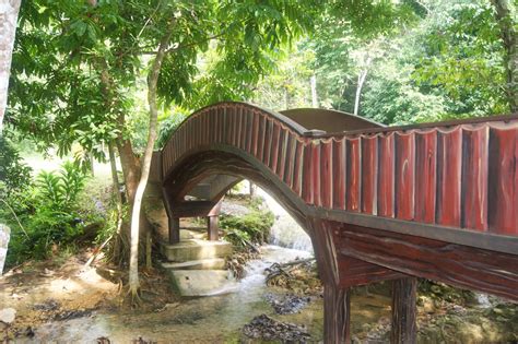 Hutan lipur puncak janing kuala nerang. A VIEW FROM MY EYES: Hutan Lipur Bukit Ayer