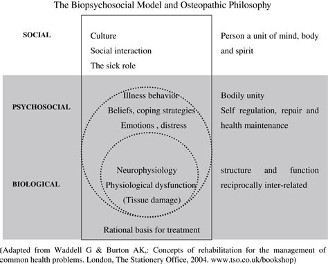 References In The Biopsychosocial Model Of Pain And Contemporary