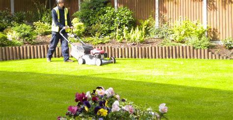 It will be always taken care of by our. Lawn Care Services in Illinois | Rosario Gambino & Son ...