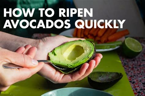 How To Ripen Avocados Quickly 3 Best Methods To Use