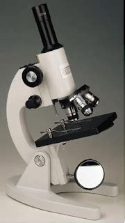 Asal Usul Sejarah Asal Usul Sejarah Mikroskop Dan Perkembangannya