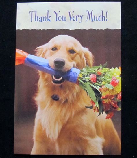 Leanin Tree Thank You Dog Dogs Humor Greeting Card Multi Color R143
