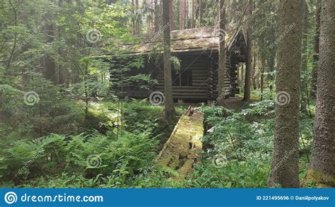 Abandoned Wooden House In The Forest Russia Stock Photo Image Of