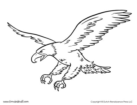 Bald Eagle Coloring Page - Tim van de Vall