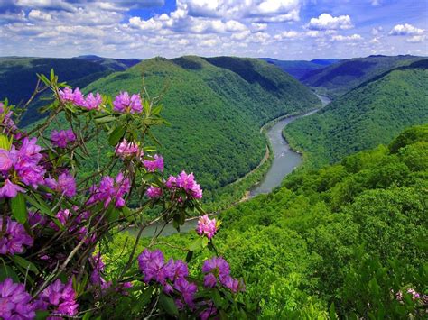 Landscape Nature River Hills With Forest Green Purple Flowers Sky With