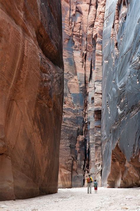 Still, you can do part of. Buckskin Gulch in Paria Canyon, Kanab area, Utah, is the longest and deepest slot canyon in the ...