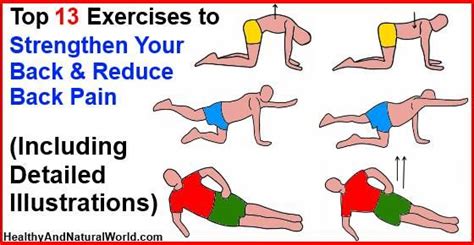 Top 13 Exercises To Strengthen Your Back And Reduce Back Pain
