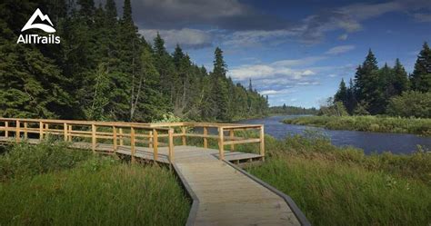 Best Forest Trails In Happy Valley Goose Bay Alltrails