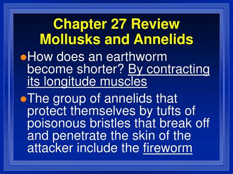 Ppt Chapter 27 Review Mollusks And Annelids Powerpoint Presentation