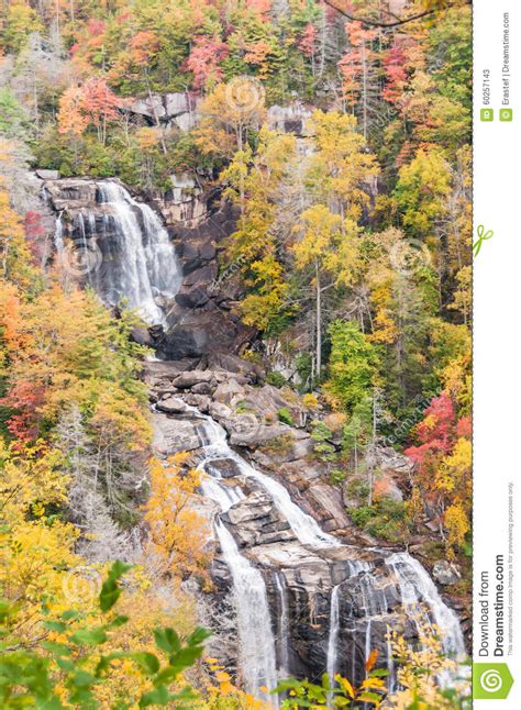 Autumn Color In Forest Of North Carolina Stock Photo
