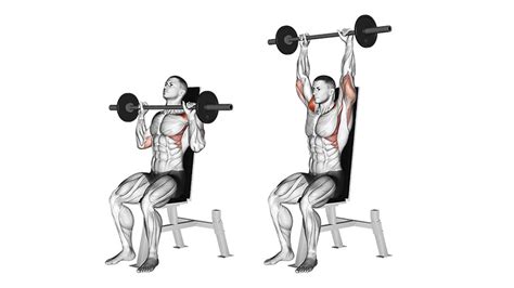 8 Best Shoulder Exercises And Workout 2021 The Trend Spotter