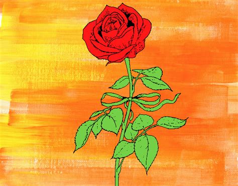 Dibujo De Una Rosa Pintado Por En El Día 29 04 17 A Las 19