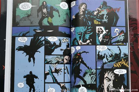 The Dc Universe Of Mike Mignola Comic Book Review Halcyon Realms