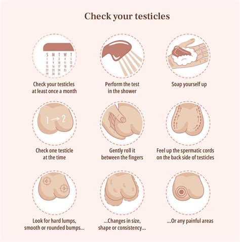 Testicular Cancer Symptoms Diagnosis And Treatment Healthnews