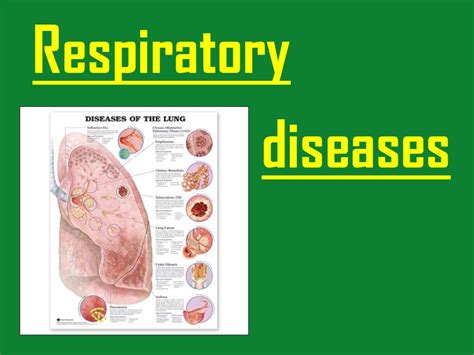 Respiratory Diseases Respiratory Structures Such As The Airways