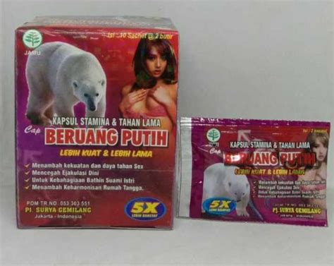 jamu beruang putih