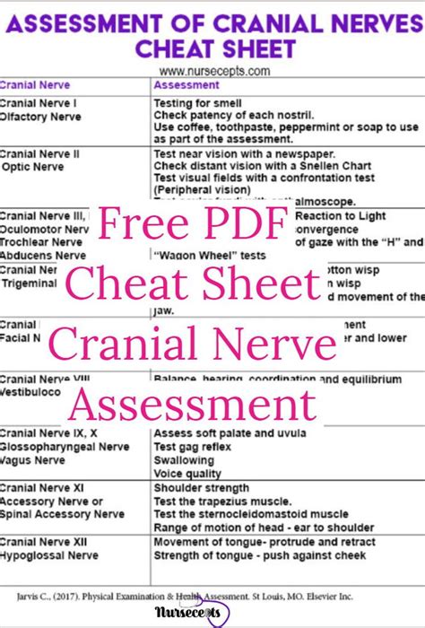 Cranial Nerve Exam Cheat Sheet Cranial Nerves Nursing School Tips