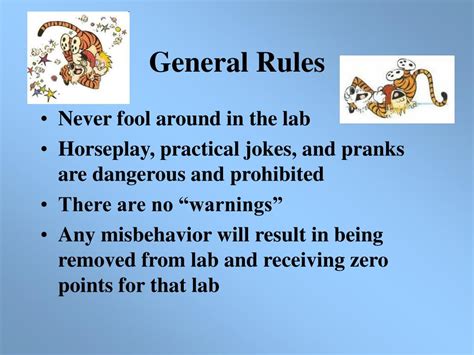 PPT - Lab Safety Rules PowerPoint Presentation, free download - ID:6806127