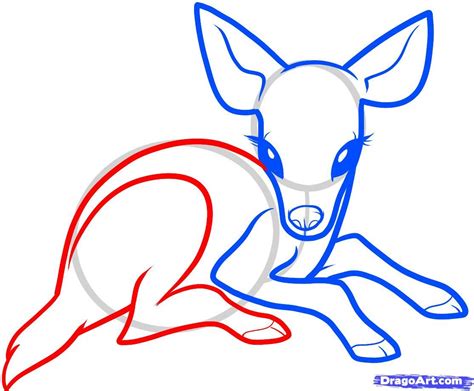 Use a series of u shaped lines to sketch the deer's tail. How To Draw A Baby Deer, Baby Deer by Dawn | Deer drawing ...