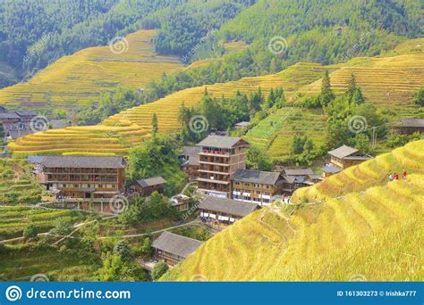 Longji Rice Terraces In Guangxi Province China Editorial Stock Photo