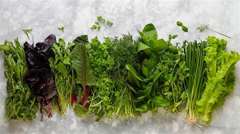 13 Healthy Green Leafy Vegetables