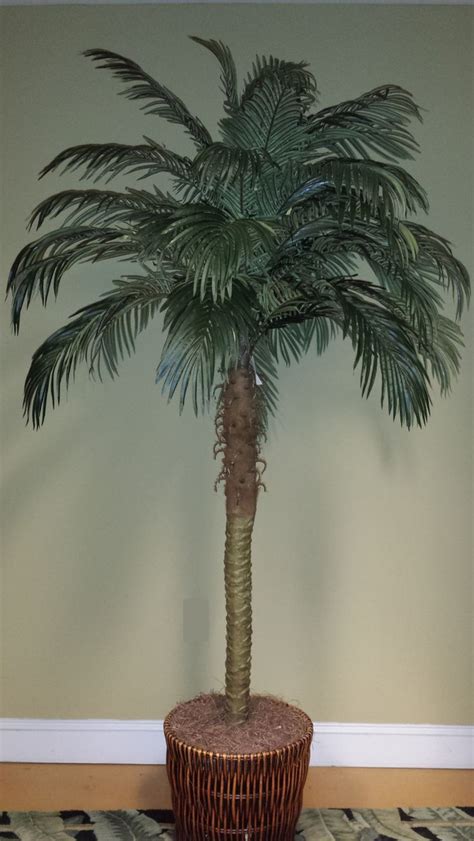 The products used to decorate a home. 24 best images about palm tree themed bedrooms on ...