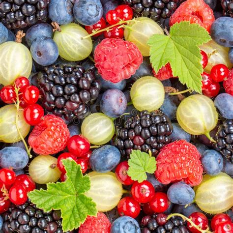 Berries Fruits Berry Fruit Strawberries Strawberry Blueberries
