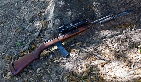 M1 Carbine The Classic Warhorse Part Iii The Shooter
