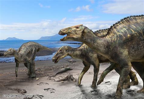 Scientists Discover A New Duck Billed Dinosaur Latf Usa News
