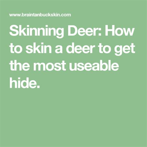 Skinning Deer How To Skin A Deer To Get The Most Useable Hide Deer
