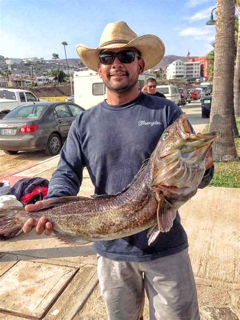 Baja Fishing Report 03 Discover Baja Travel Club