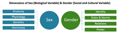 sex and gender office of research on women s health
