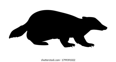 1 583 imágenes de Badger silhouette Imágenes fotos y vectores de