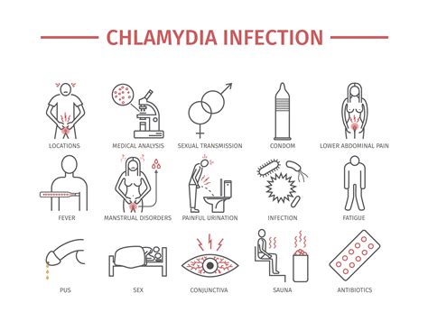 Chlamydia Symptoms Pictures Treatment Std Chlamydia