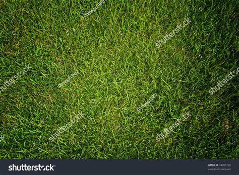 Green Grass Texture Background Foto Stok 74705728 Shutterstock