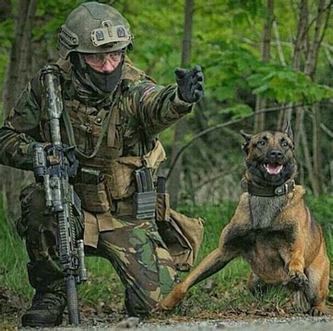 Military Working Dog Military Dogs War Dogs Military Working Dogs