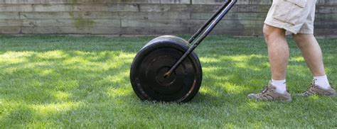 Maybe you would like to learn more about one of these? Lawn Roller Alternatives | DIY Lawn Rollers & Other Ways - Grass Lawns Care