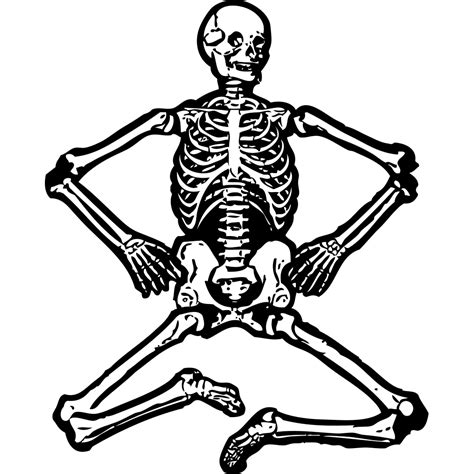 Human Skeleton PNG, SVG Clip art for Web - Download Clip Art, PNG Icon Arts