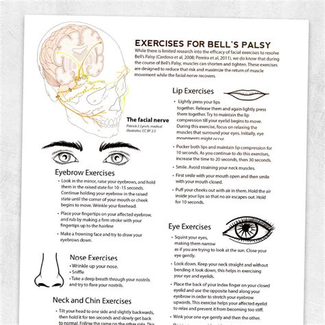 Exercises For Bell S Palsy Adult And Pediatric Printable Resources