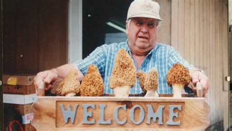 Morel Mushroom Season Has Arrived Heres What You Need To Know