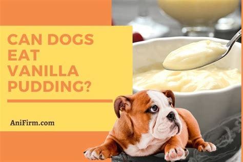 Can Dogs Eat Vanilla Pudding