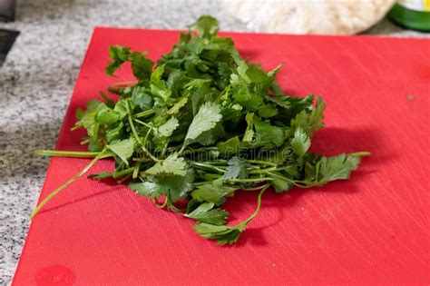 Fresh Organic Parsley With Knife On Wooden Cutting Board Macro With