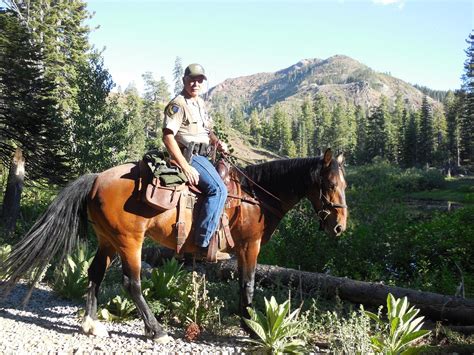 Do you want to plant your own tree? California Game Wardens Establish Mounted Patrol Unit ...