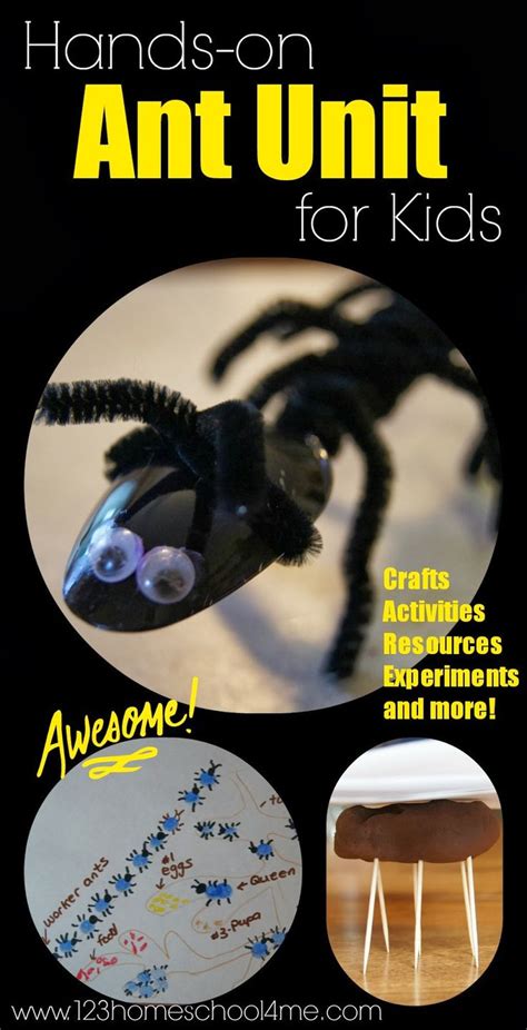 Bug Unit 1 Ants Ant Lesson Ants Activities Ant Crafts