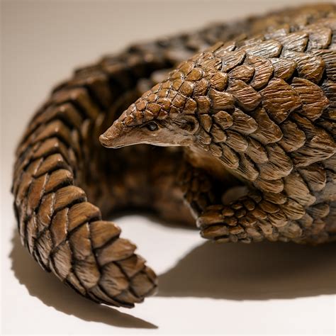 Tens of thousands of pangolins are poached every year, killed for their scales for use in traditional. The Plight of the Pangolin - Nick Mackman Animal Sculpture