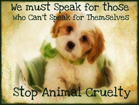 Against Animal Cruelty Images On Facebook Animal Cruelty Quotes Stop